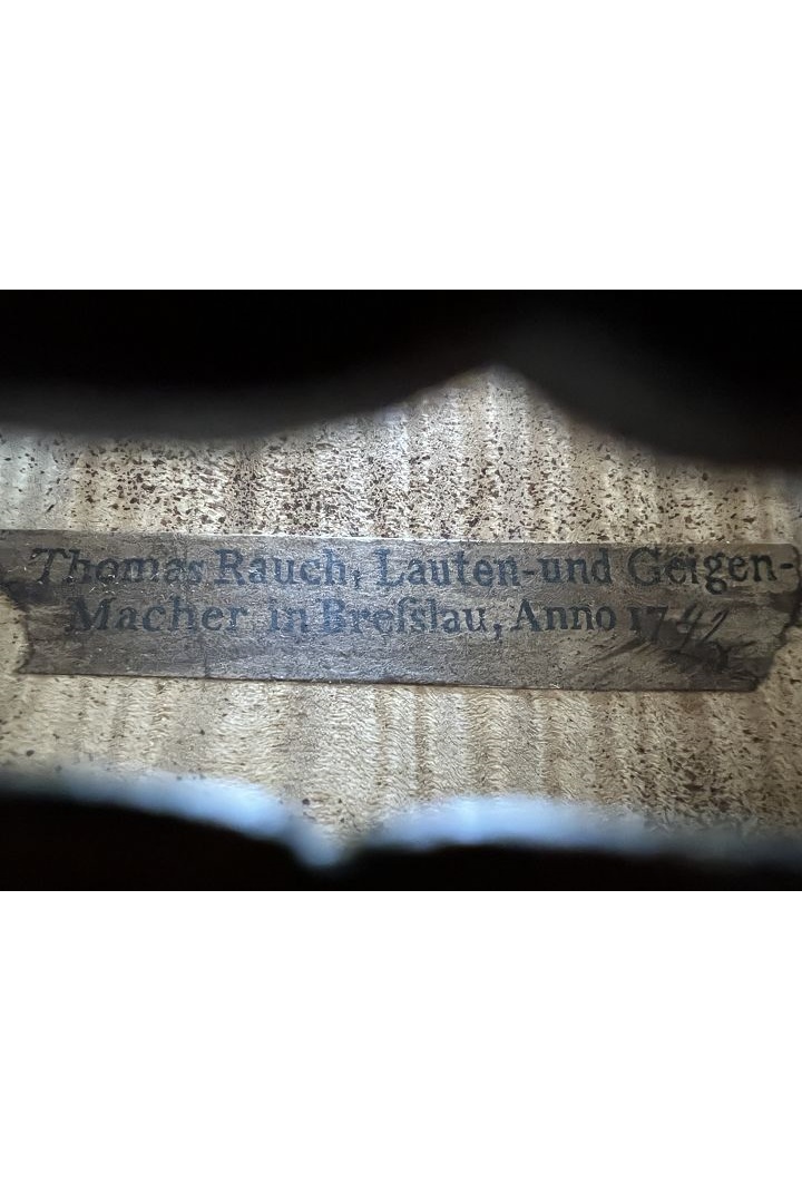 Saxony copy around 1900 - Stainer model - V10298